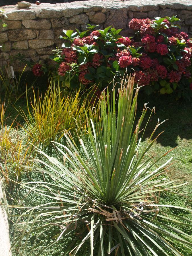 La Sirene Endormie Bed and Breakfast Penmarcʼh Buitenkant foto